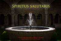 Spiritus salutaris pic4Start